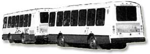 Zion shuttle busses.