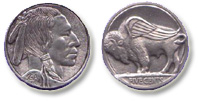 New version of the Indian head nickle ... buffalo wings.
